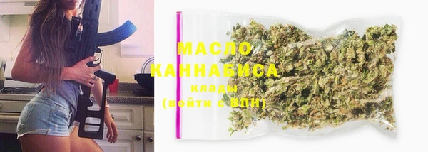 индика Вязники