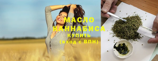 индика Вязники