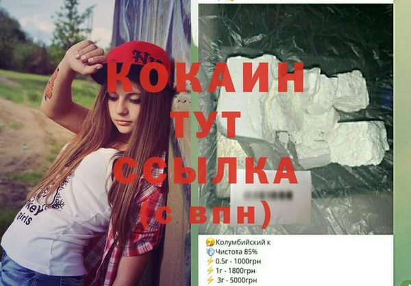 индика Вязники