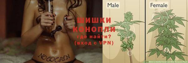 стафф Вязьма