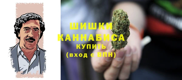 индика Вязники