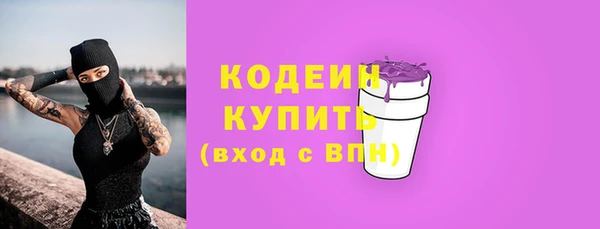 индика Вязники