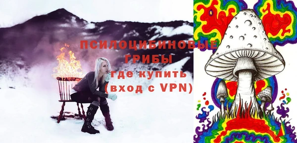 индика Вязники