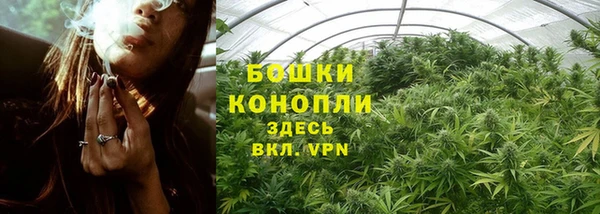 винт Вяземский