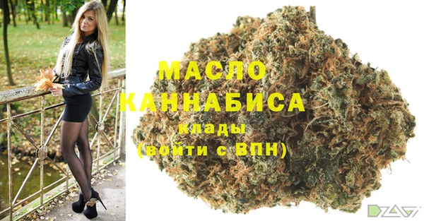 индика Вязники